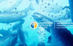 seminario_2