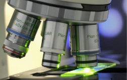 Captura de pantalla 2025-10-28 141905